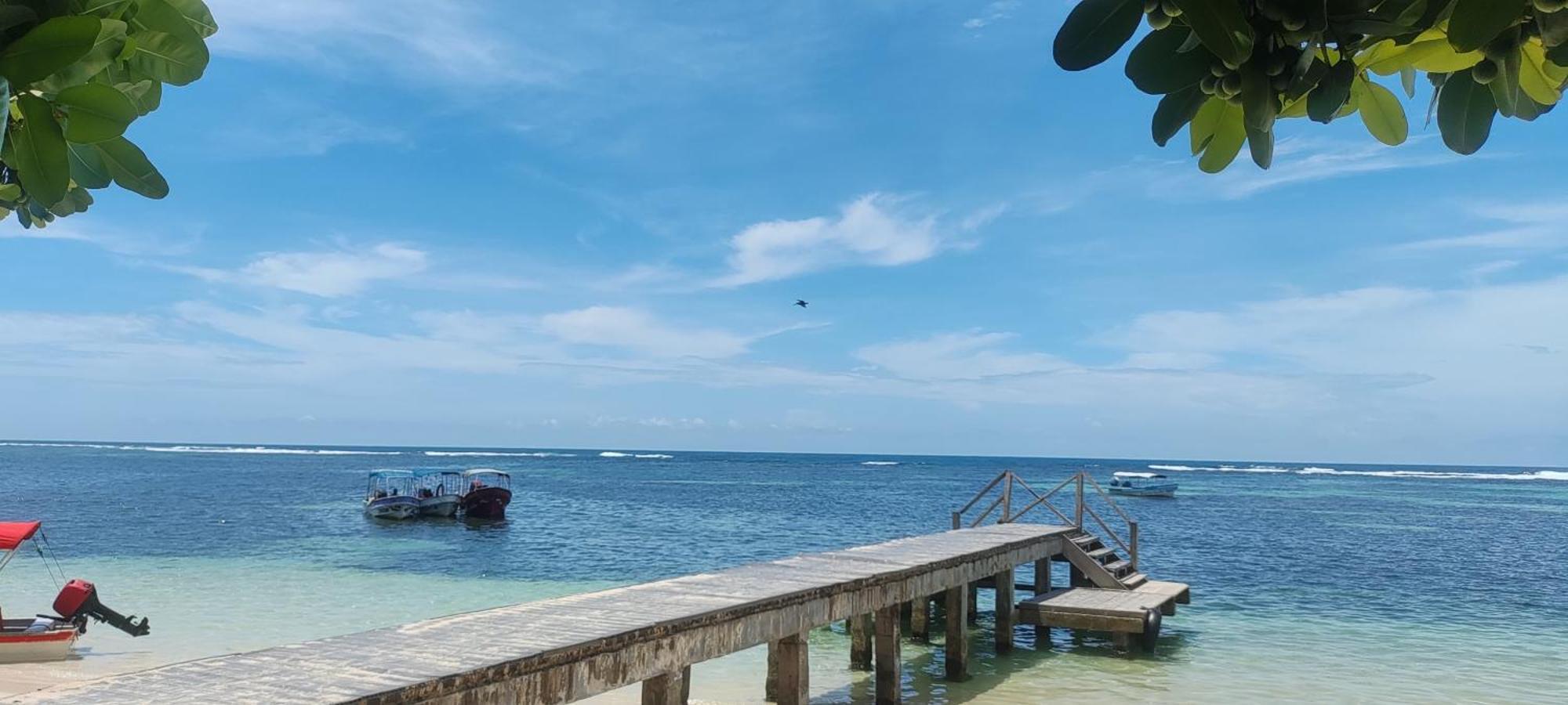 Bambu Lounge Bocas Hostel Bocas del Toro Exterior photo